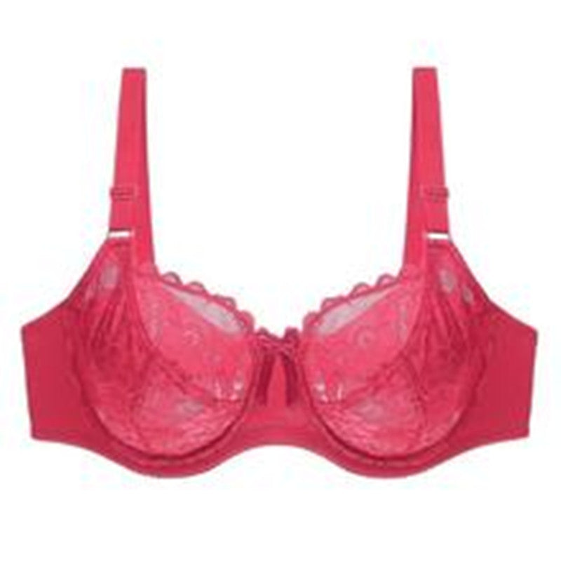 Plus Size Sexy Bra